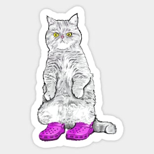 Cat in clogs- purple Sticker